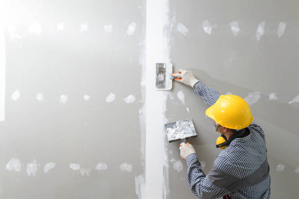 Best Industrial Mold Remediation  in Delavan, IL