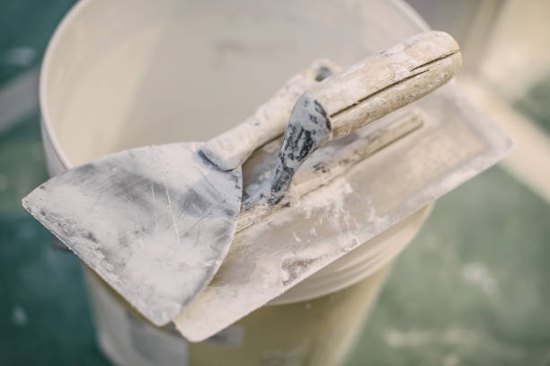 Best Air Quality Testing for Mold Spores  in Delavan, IL