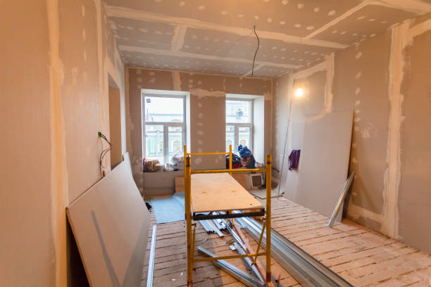 Best Crawl Space Mold Remediation  in Delavan, IL